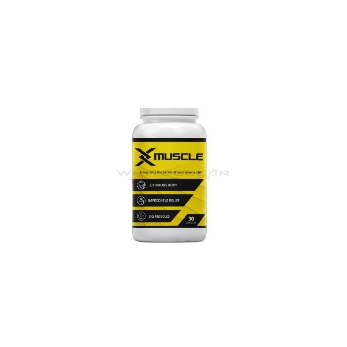 ❰★❱ X-Muscle - para a construción muscular