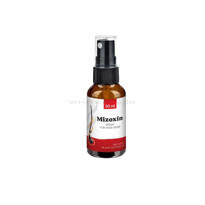 ❰★❱ Mizoxin - hair restoration product